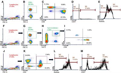 Acute exercise induces distinct quantitative and phenotypical T cell profiles in men with prostate cancer